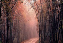 曼联客场挑战劲旅，面临考验