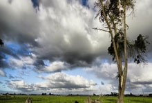 多特蒙德客场逆转，绝杀赢得保级关键战