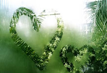 大洋联赛燃爆全场一方险胜对手