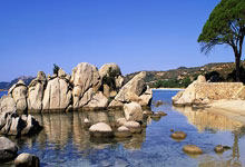 意大利不敌对手，遭遇欧预赛惨败